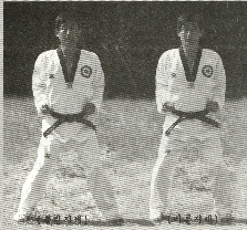 Taekwondo image 15