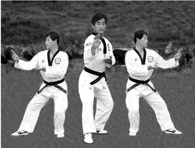 Taekwondo image 16