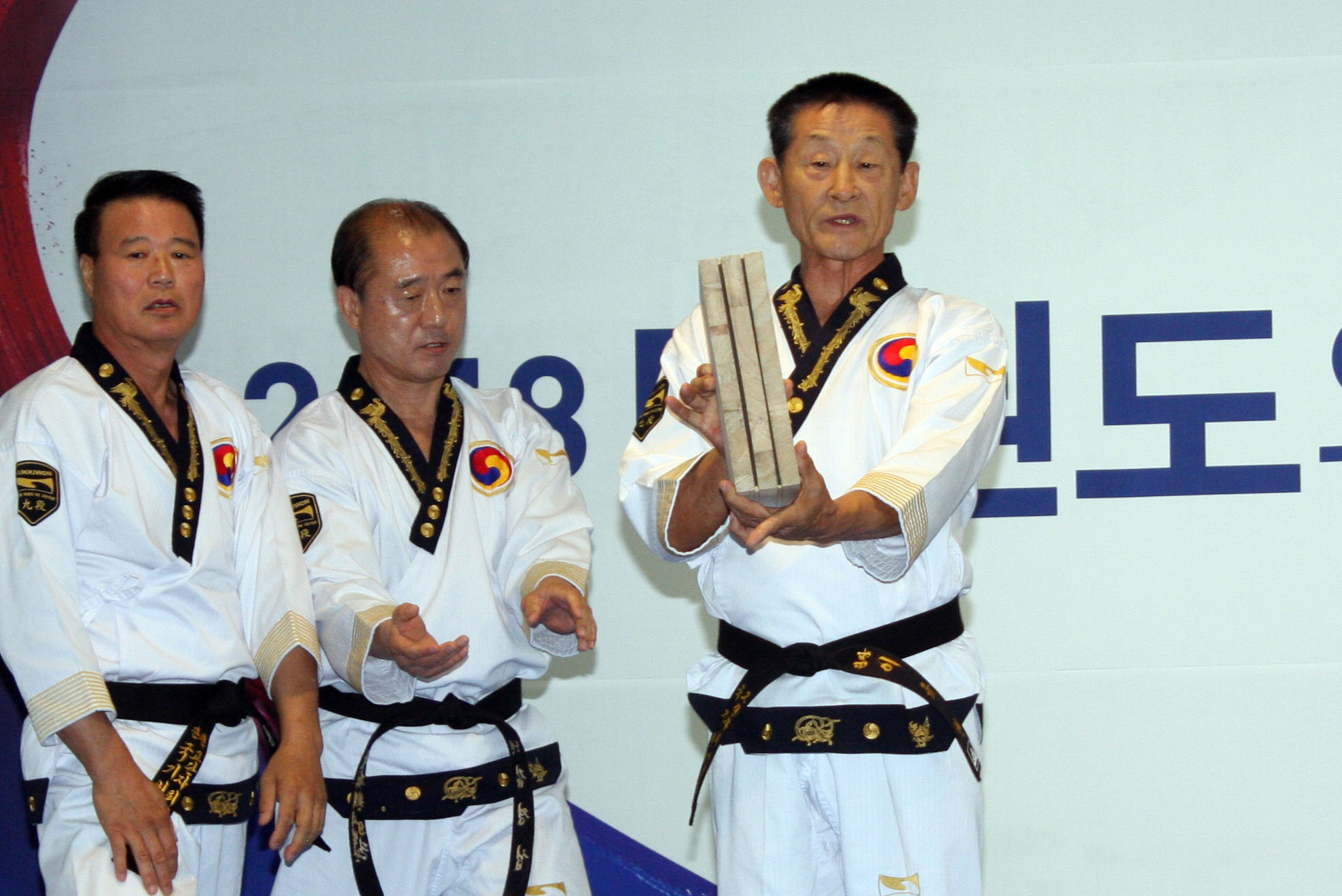 Taekwondo image 3