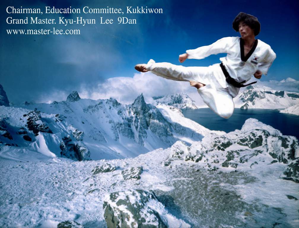 Taekwondo image 8